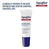 Aquaphor Lip Repair Ointment, Value Pack, 2 x 0.35 FL OZ(0.35 Fl Oz (Pack of 2))
