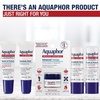 Aquaphor Lip Repair Ointment, Value Pack, 2 x 0.35 FL OZ(0.35 Fl Oz (Pack of 2))
