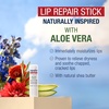 Aquaphor Naturally Inspired Lip Repair Stick with Aloe Vera, 0.17 OZ(0.17 Ounce (Pack of 1))