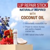 Aquaphor Naturally Inspired Lip Repair Stick with Coconut Oil, 0.17 OZ(Coconut Oil)