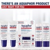 Aquaphor Lip Repair Ointment, Multipack, 48 x 0.35 FL OZ